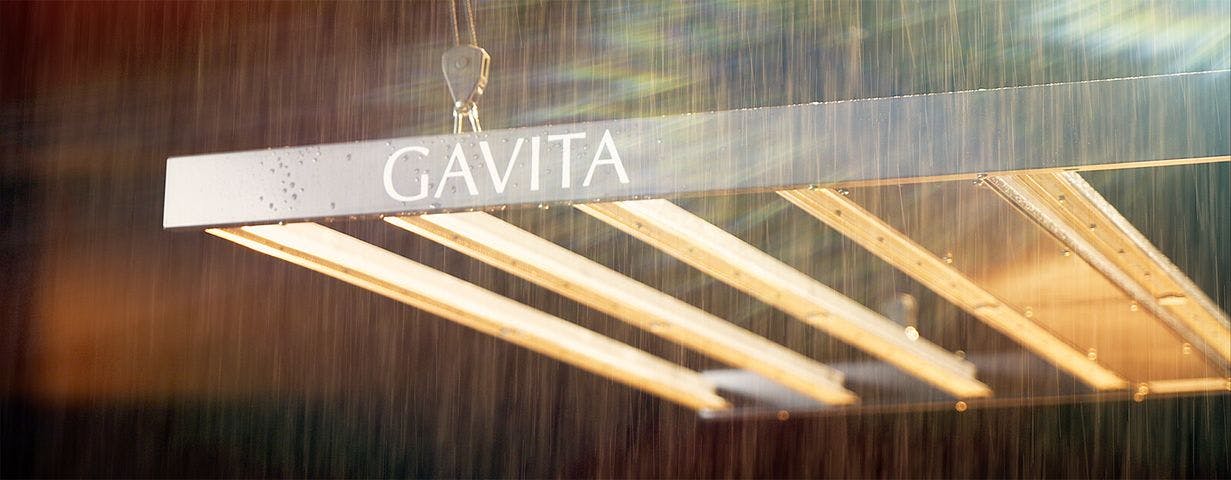 Project image of Gavita 1700e Video Advert